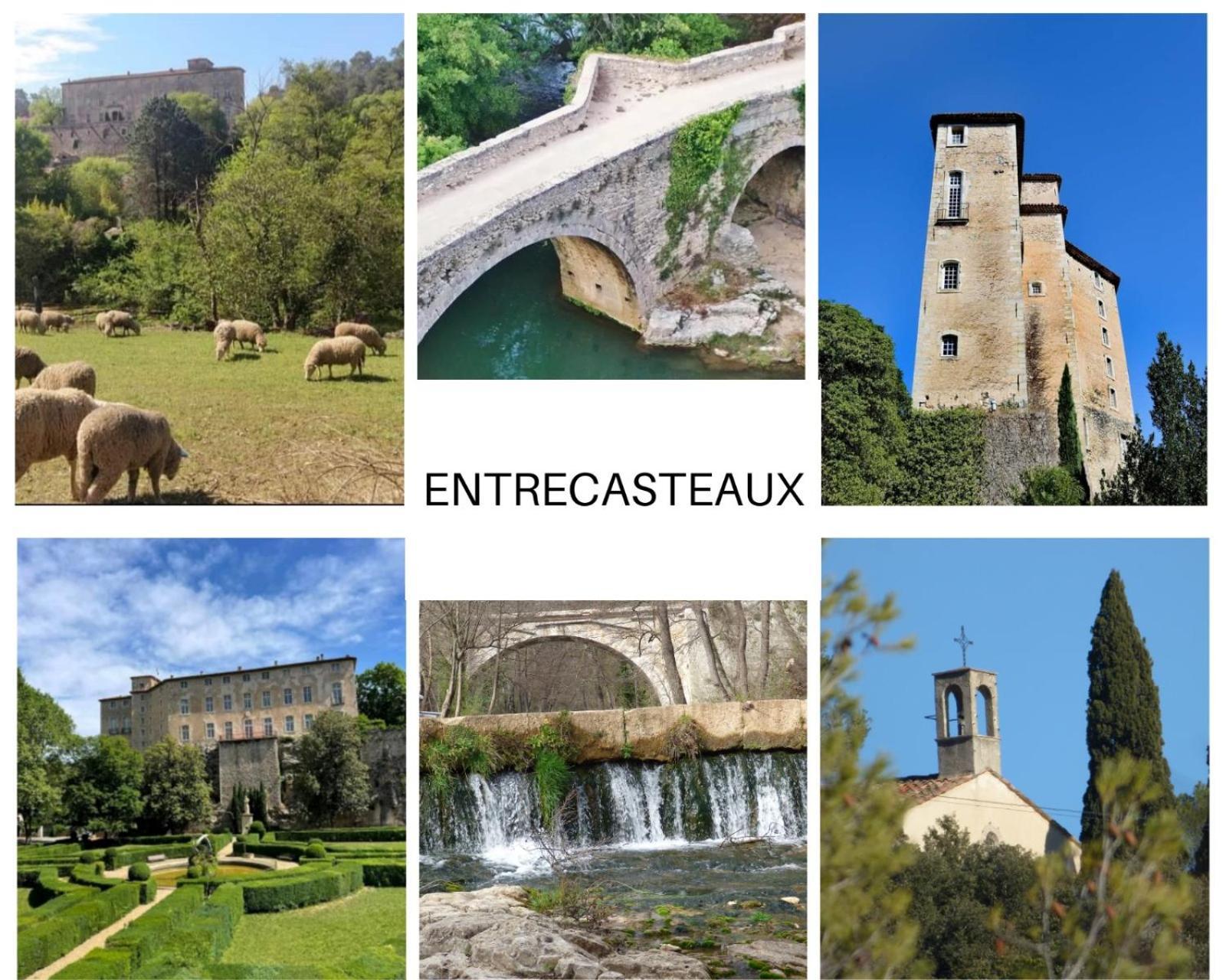 مبيت وإفطار Entrecasteaux La Bergerie Des Colles المظهر الخارجي الصورة