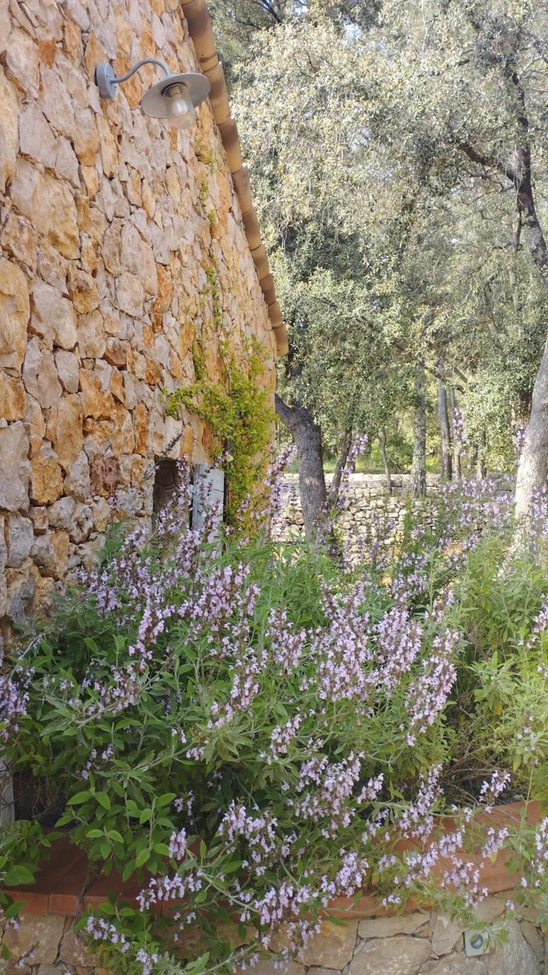 مبيت وإفطار Entrecasteaux La Bergerie Des Colles المظهر الخارجي الصورة